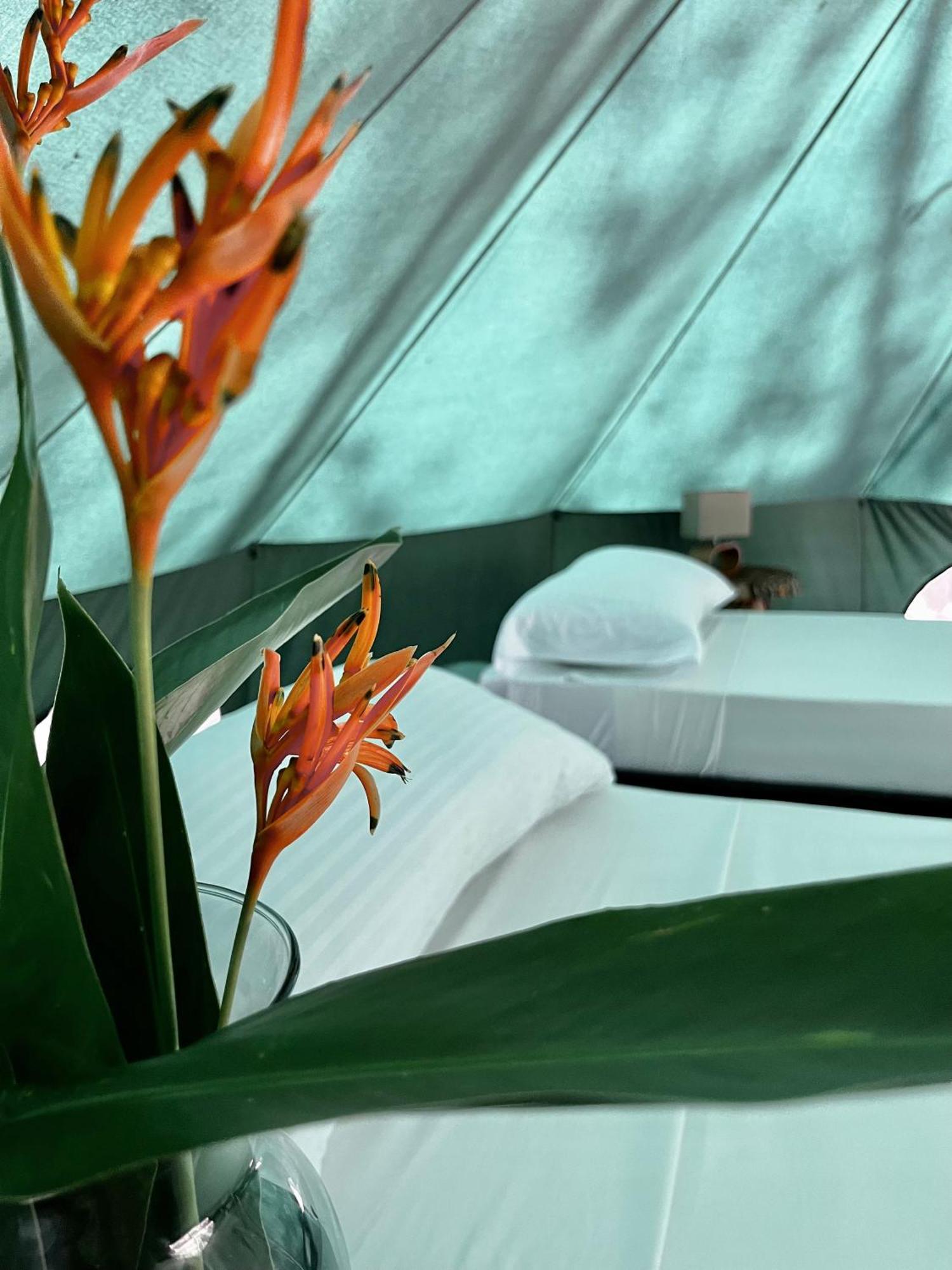 One Santuario Hotel Y Reserva Natural Palomino Pokój zdjęcie